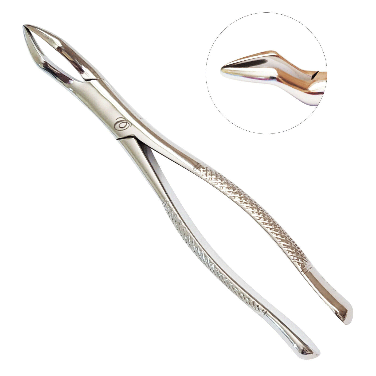 Extracting Forceps