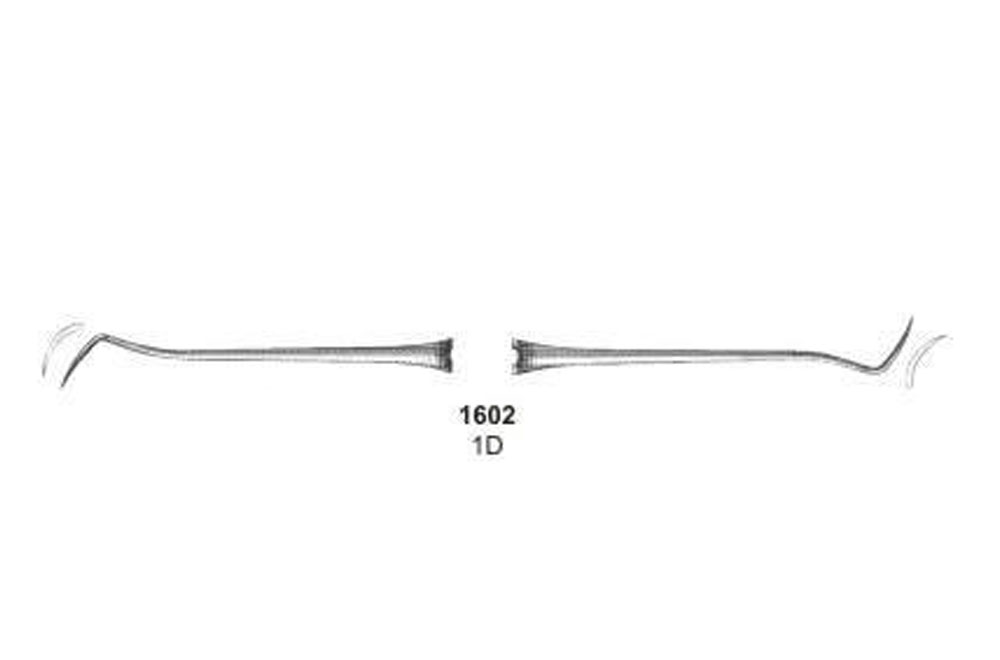 Explorers Double Ended - Octagonal