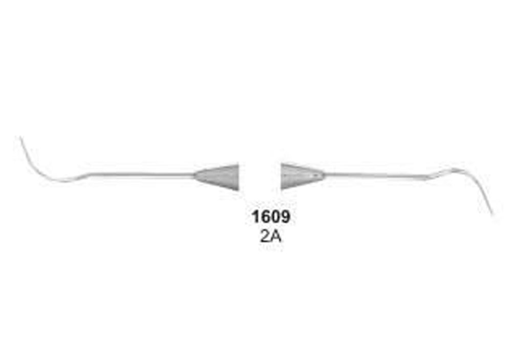 Explorers Double Ended - Octagonal