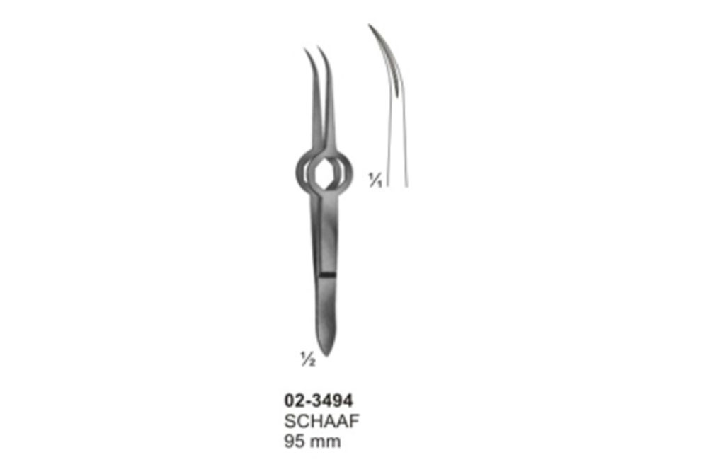 Schaaf